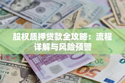 武汉股权质押贷款全攻略：流程详解与风险预警