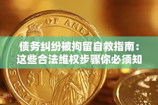 武汉债务纠纷被拘留自救指南：这些合法维权步骤你必须知道！