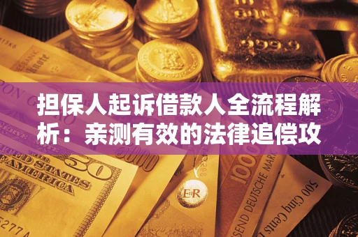 武汉担保人起诉借款人全流程解析：亲测有效的法律追偿攻略