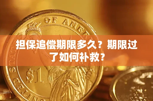 武汉担保追偿期限多久？期限过了如何补救？