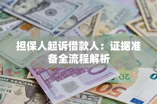 武汉担保人起诉借款人：证据准备全流程解析