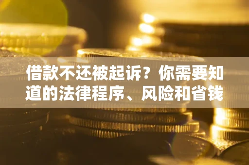 武汉借款不还被起诉？你需要知道的法律程序、风险和省钱技巧